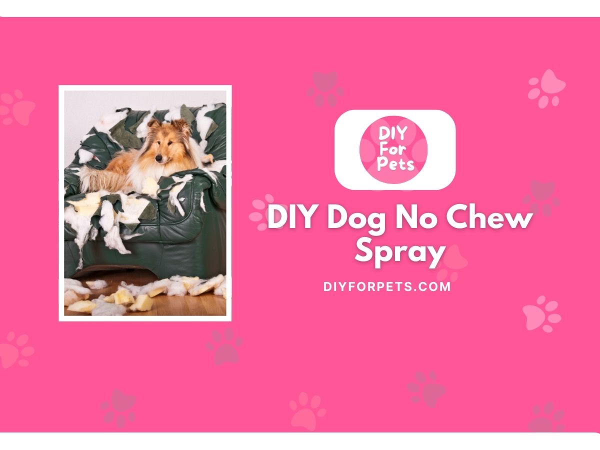 DIY Dog No Chew Spray