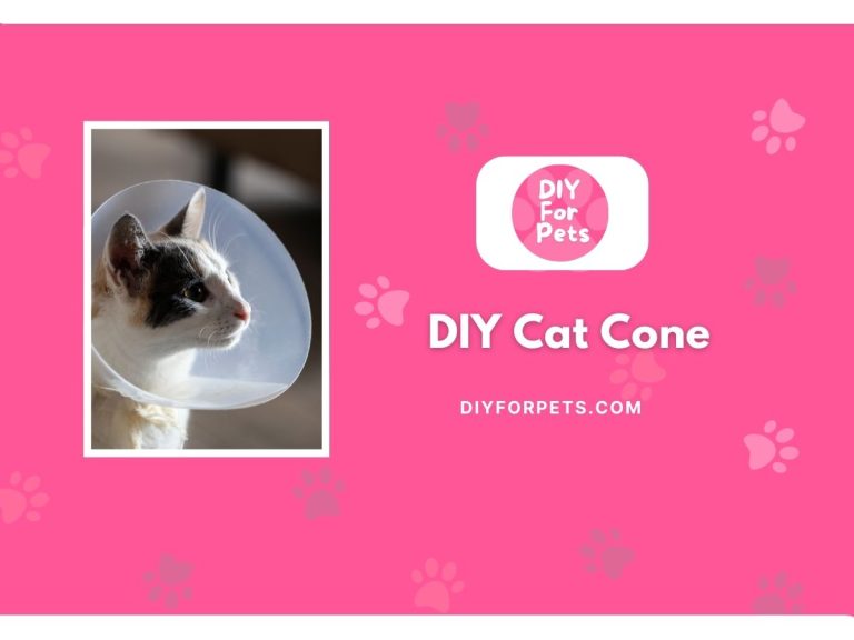DIY Cat Cone