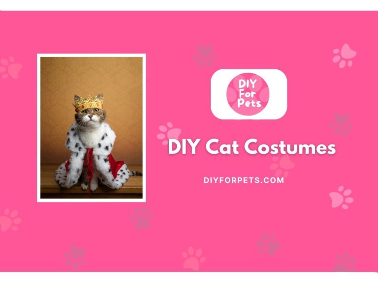 DIY Cat Costumes