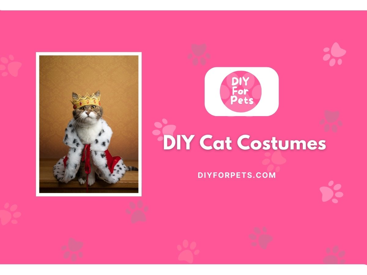 DIY Cat Costumes