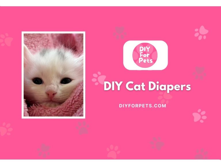 DIY Cat Diapers