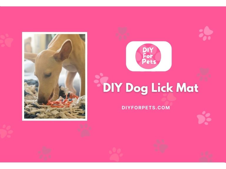 DIY Dog Lick Mat
