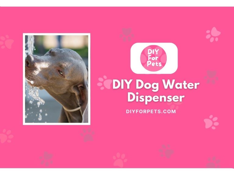 DIY Dog Water Dispenser