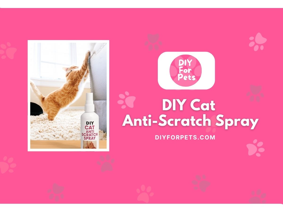 DIY Cat Anti Scratch Spray