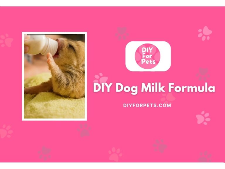 DIY Dog Milk Formula