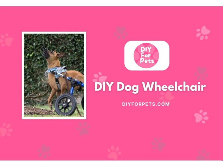 DIY Dog wheelchair ideas