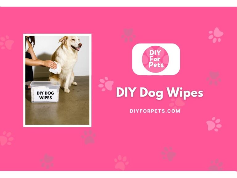 DIY Dog Wipes