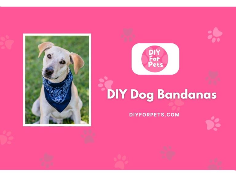 DIY Dog bandanas cover