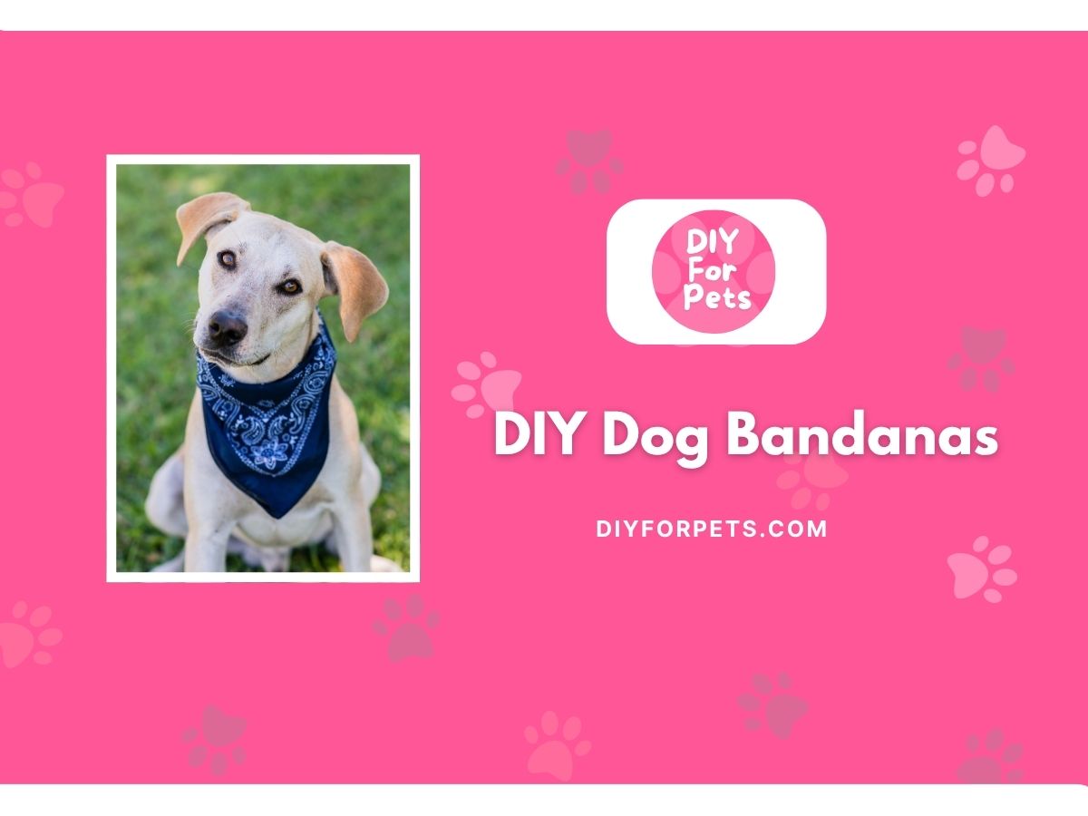DIY Dog bandanas cover