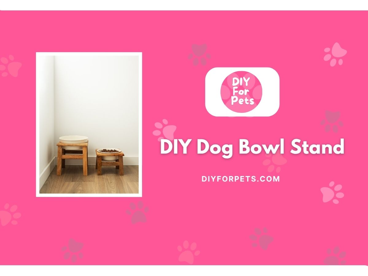 DIY Dog bowl stand