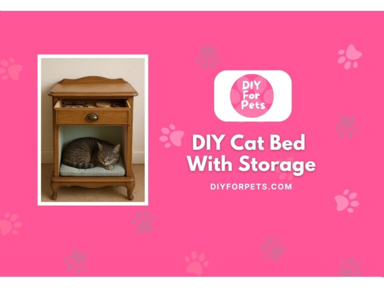 DIY cat bed with storage ideas