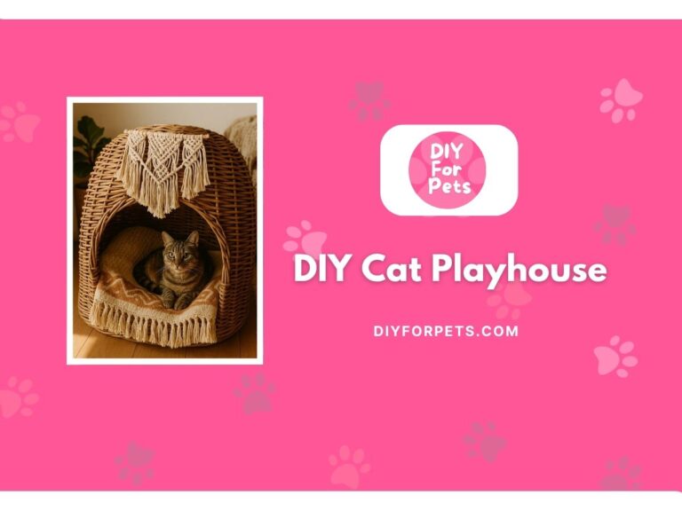 DIY cat playhouse cover image