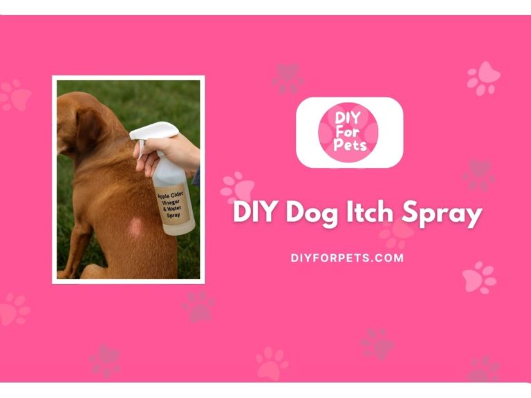 DIY dog anti scratch spray