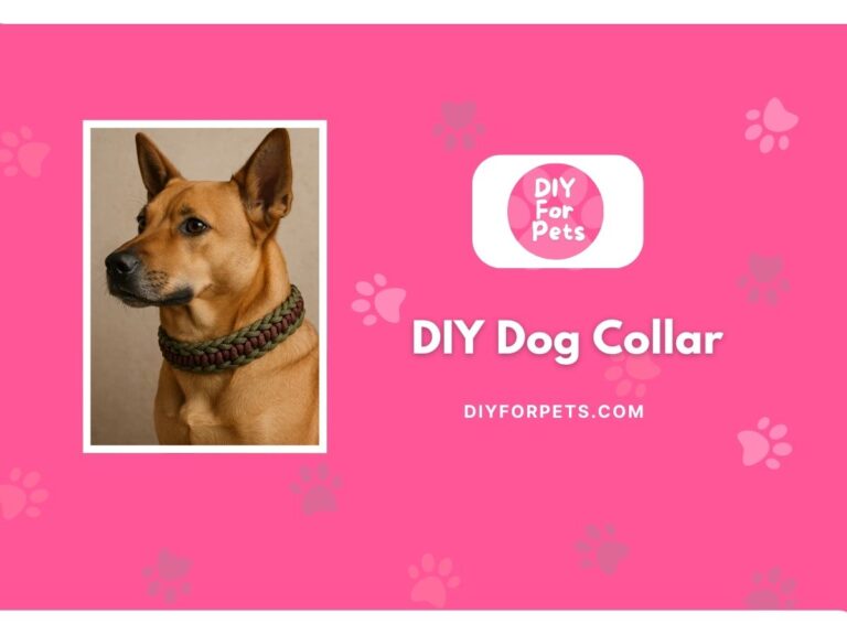 DIY dog collar cover