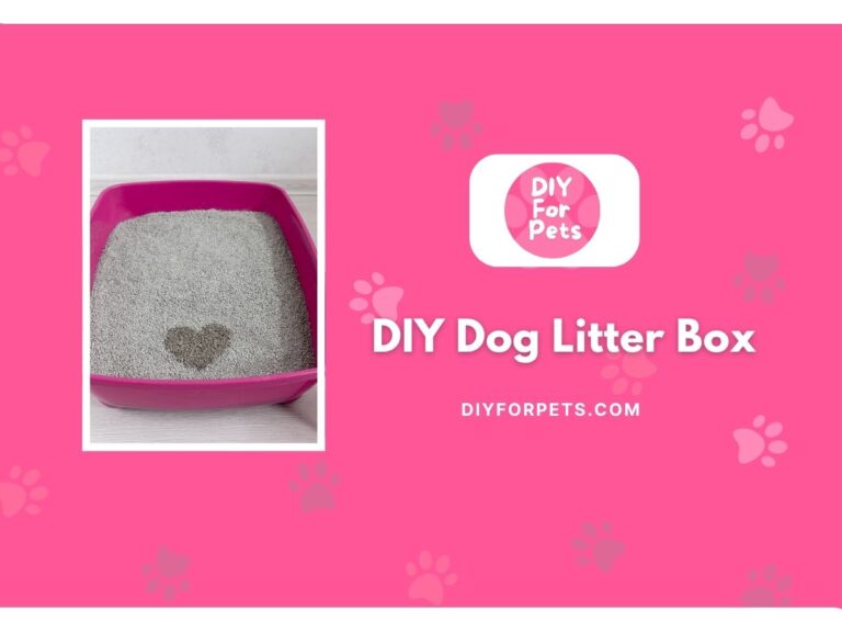 DIY dog litter box cover image