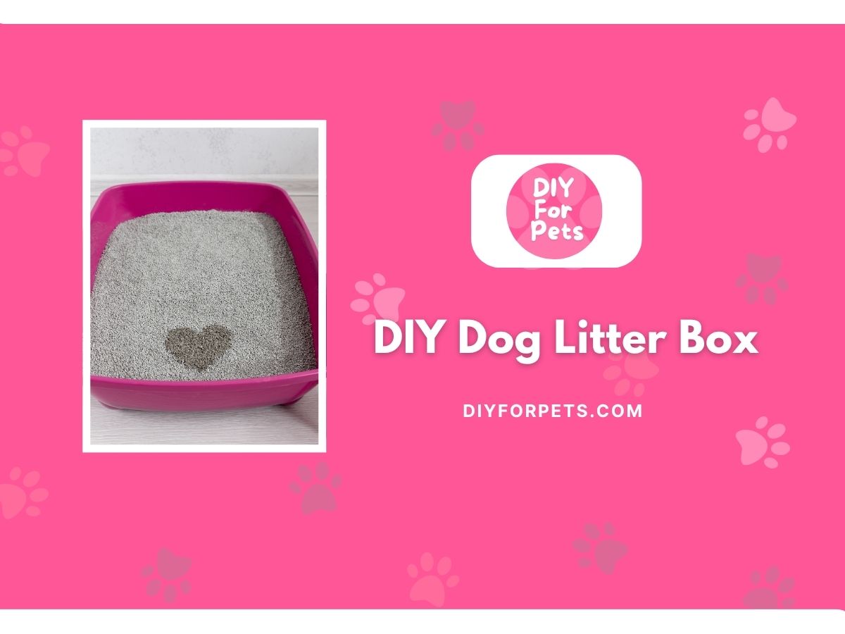 DIY dog litter box cover image