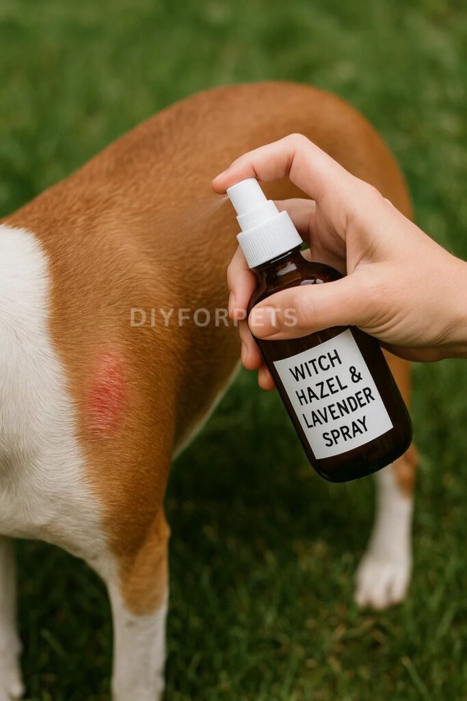 Witch Hazel & Lavender Diy itch Spray for dogs
