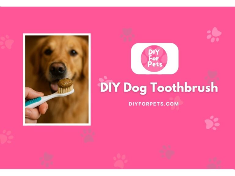 DIY dog toothbrush ideas