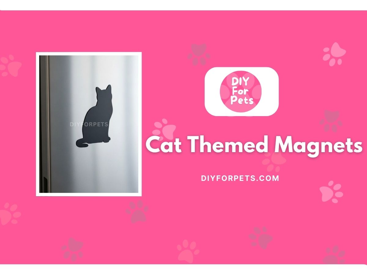 Cat themed magnets cover image