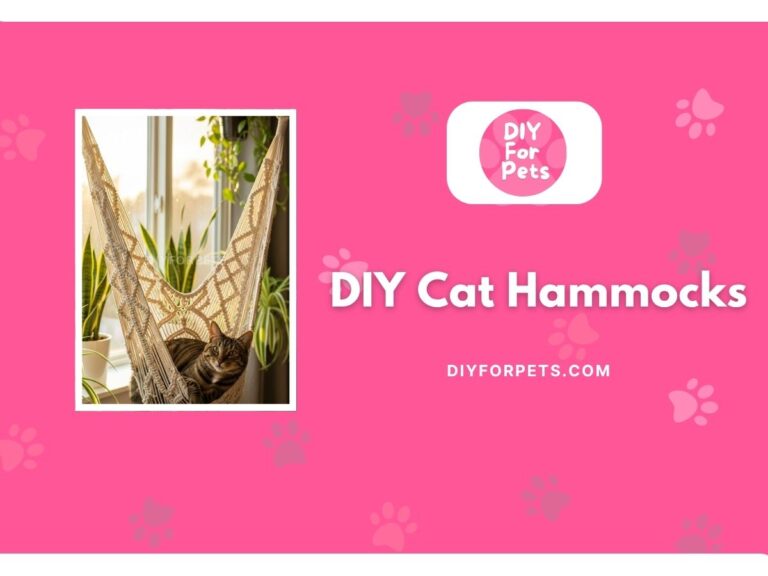 DIY Cat Hammocks Cover image