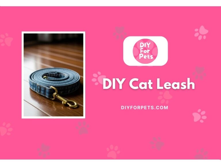 DIY Cat Leash Cover Image