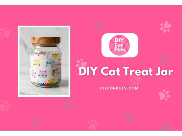 DIY Cat Treat Jar cover image