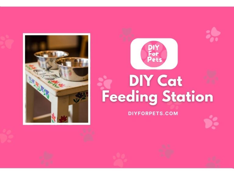 DIY Cat feeding station cover image