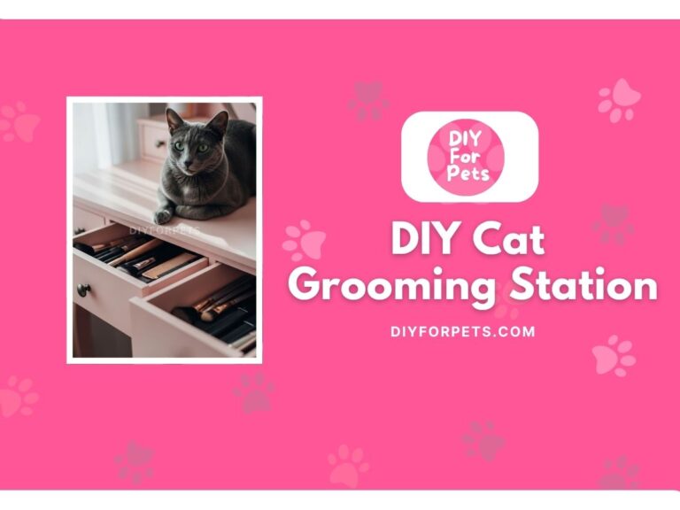 DIY Cat grooming station