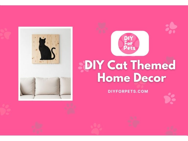 DIY Cat themed home decor cover image