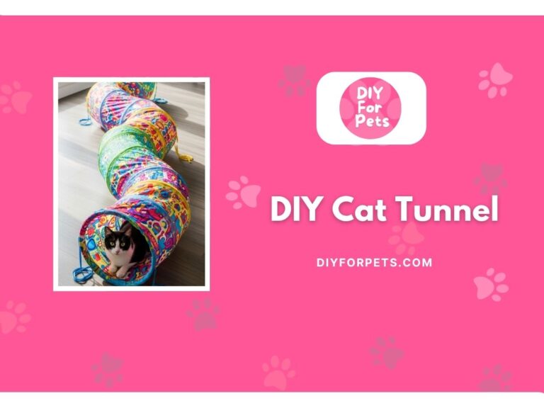 DIY Cat tunnel