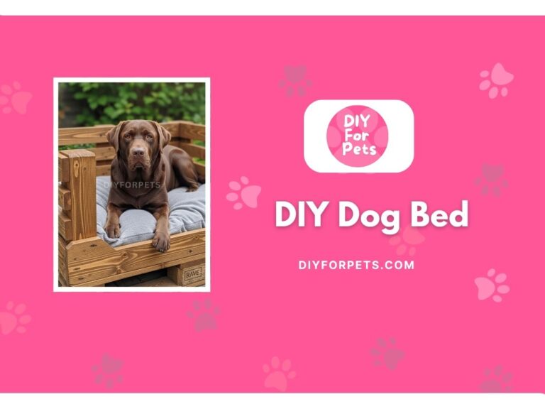 DIY Dog Bed Cover Image