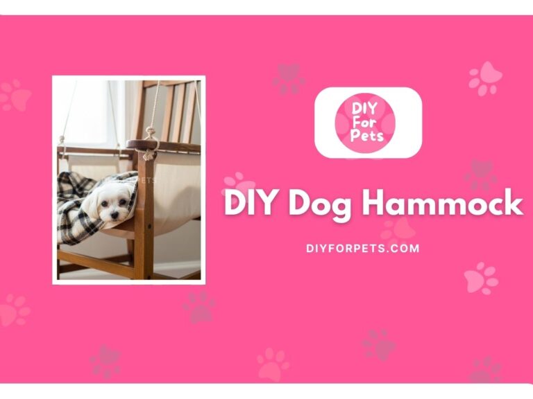 DIY Dog Hammock Cover image