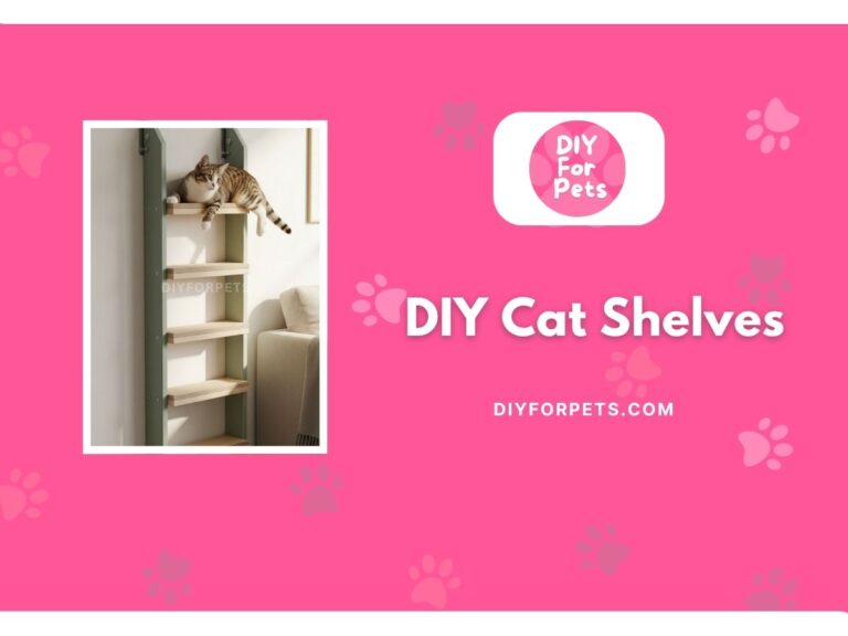 DIY cat shelves