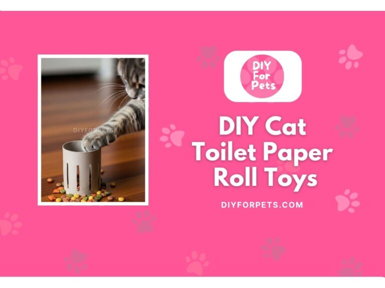 DIY cat toy from toilet paper rolls
