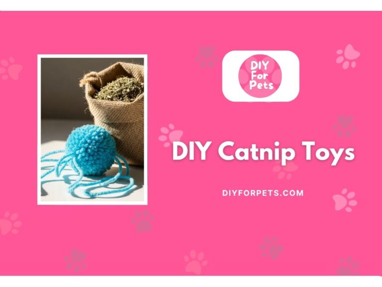 DIY catnip toys