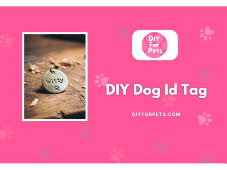 DIY dog id tag