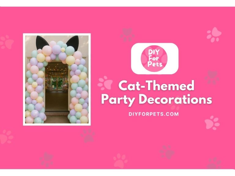 cat themed party decortions cover image
