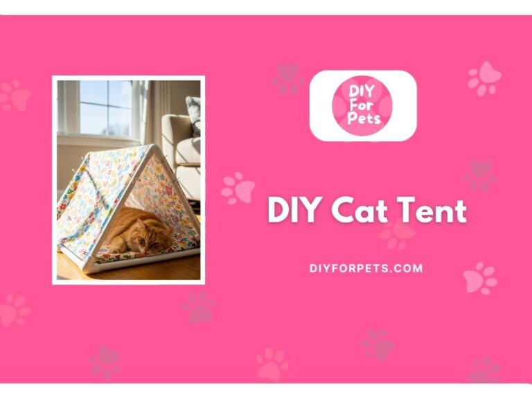 diy cat tent