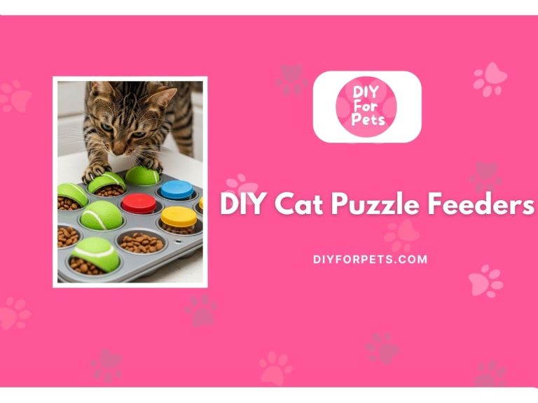 DIY Cat Puzzle Feeder Ideas