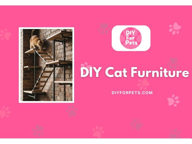 DIY cat furniture ideas